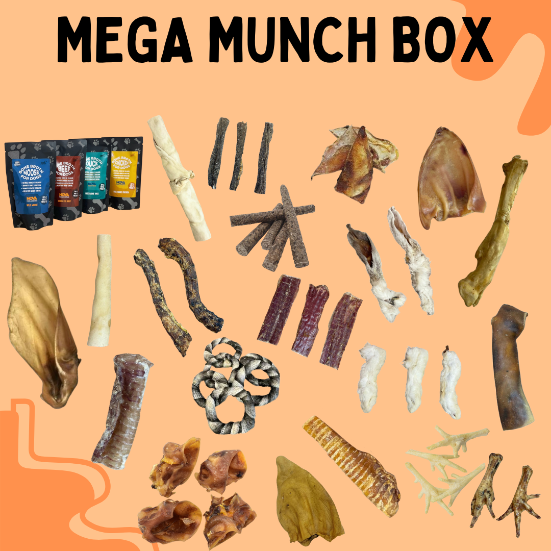 Mega Munch Box