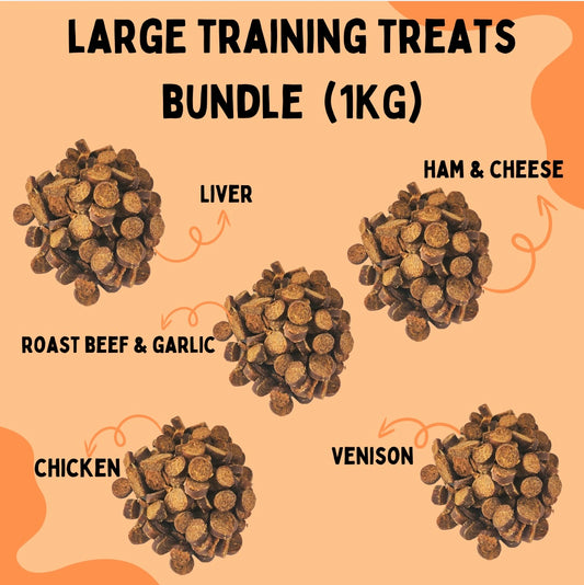 Large Training Treats Munch Bundle