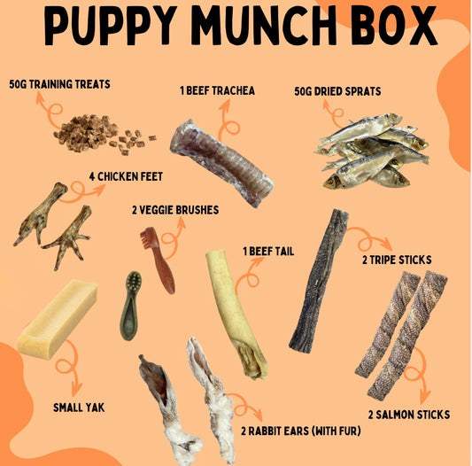 PUPPY MUNCH BOX