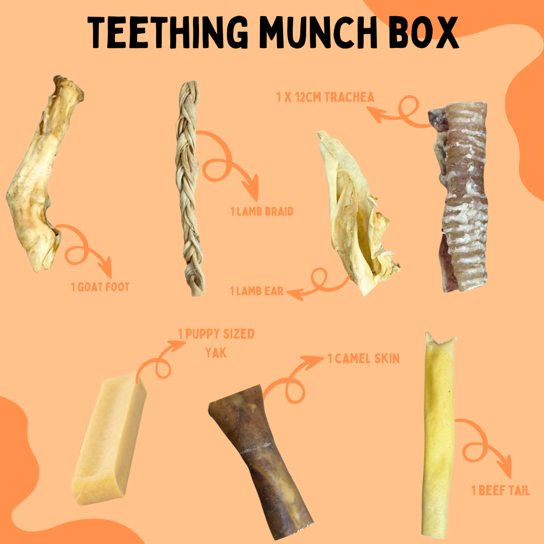 Teething Munch Box