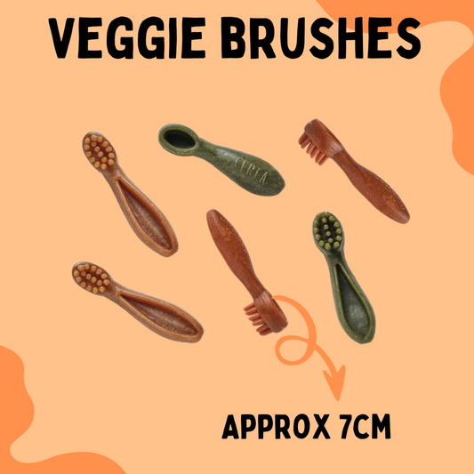 Mini Veggie Dental Brushes