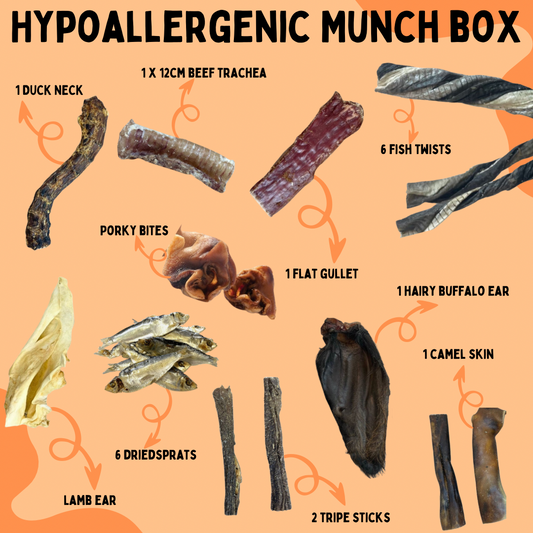 Hypoallergenic Box