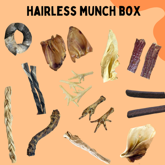 Hairless Munchbox