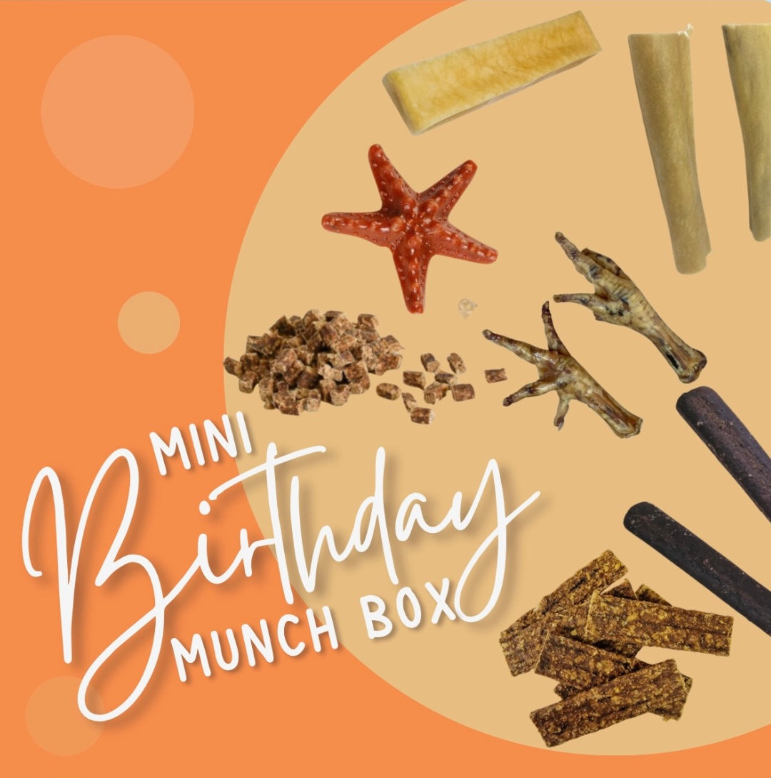 Birthday Munch Box