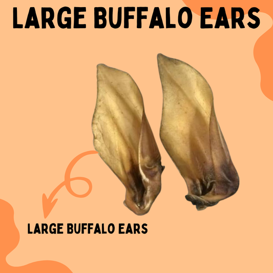 Large Buffalo ears (hairless)