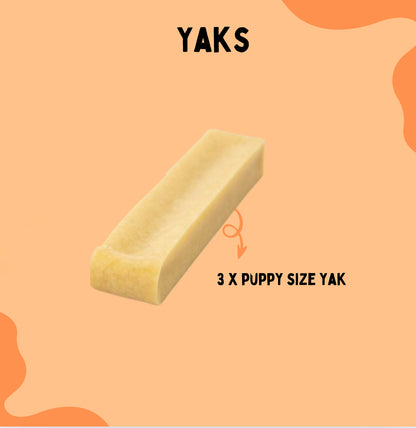 Yacks ( 3 pack )