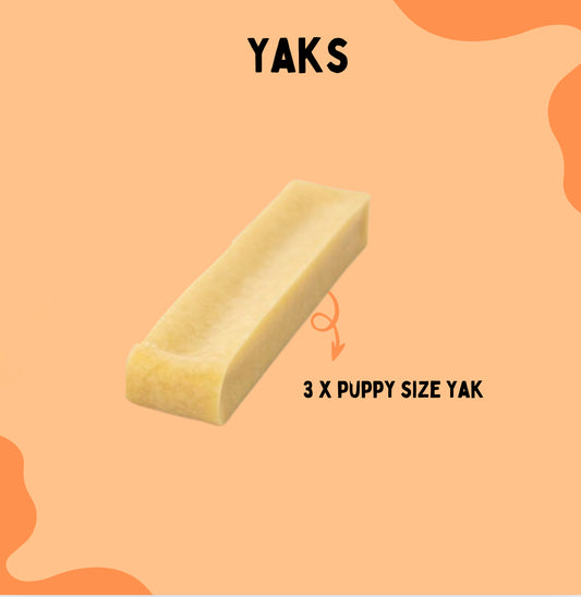 Yacks ( 3 pack )