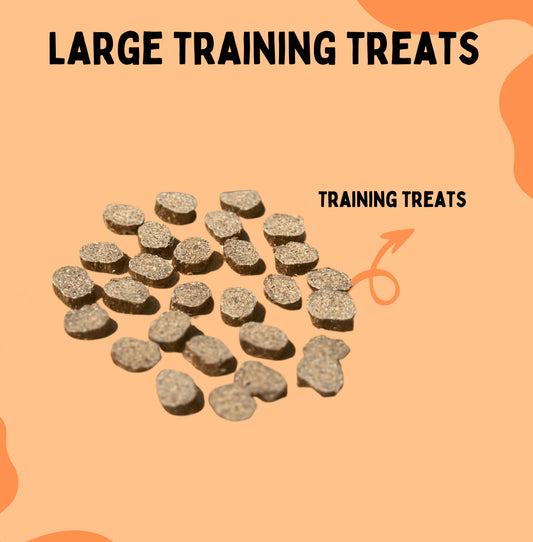 Large Training Treats