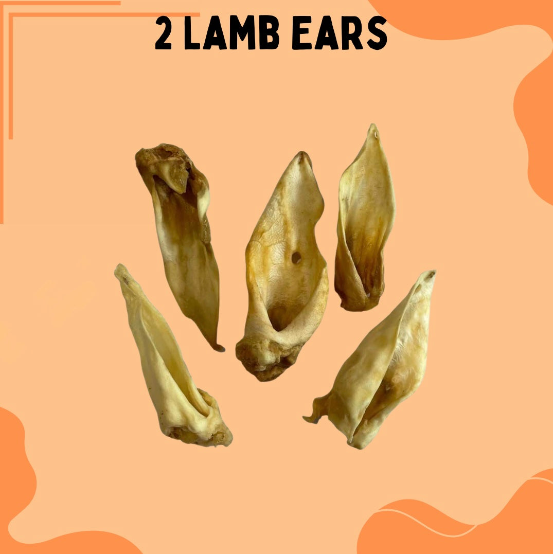 2 Lamb Ears