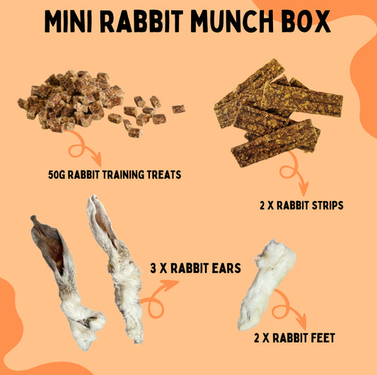 Mini Rabbit Munch Box