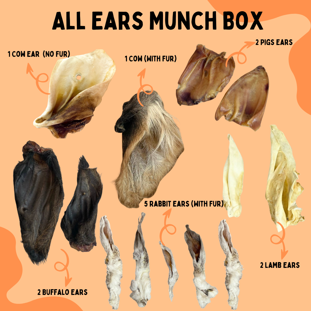 All Ears Munch Box