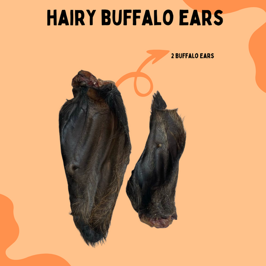 2 Hairy Buffalo Ears