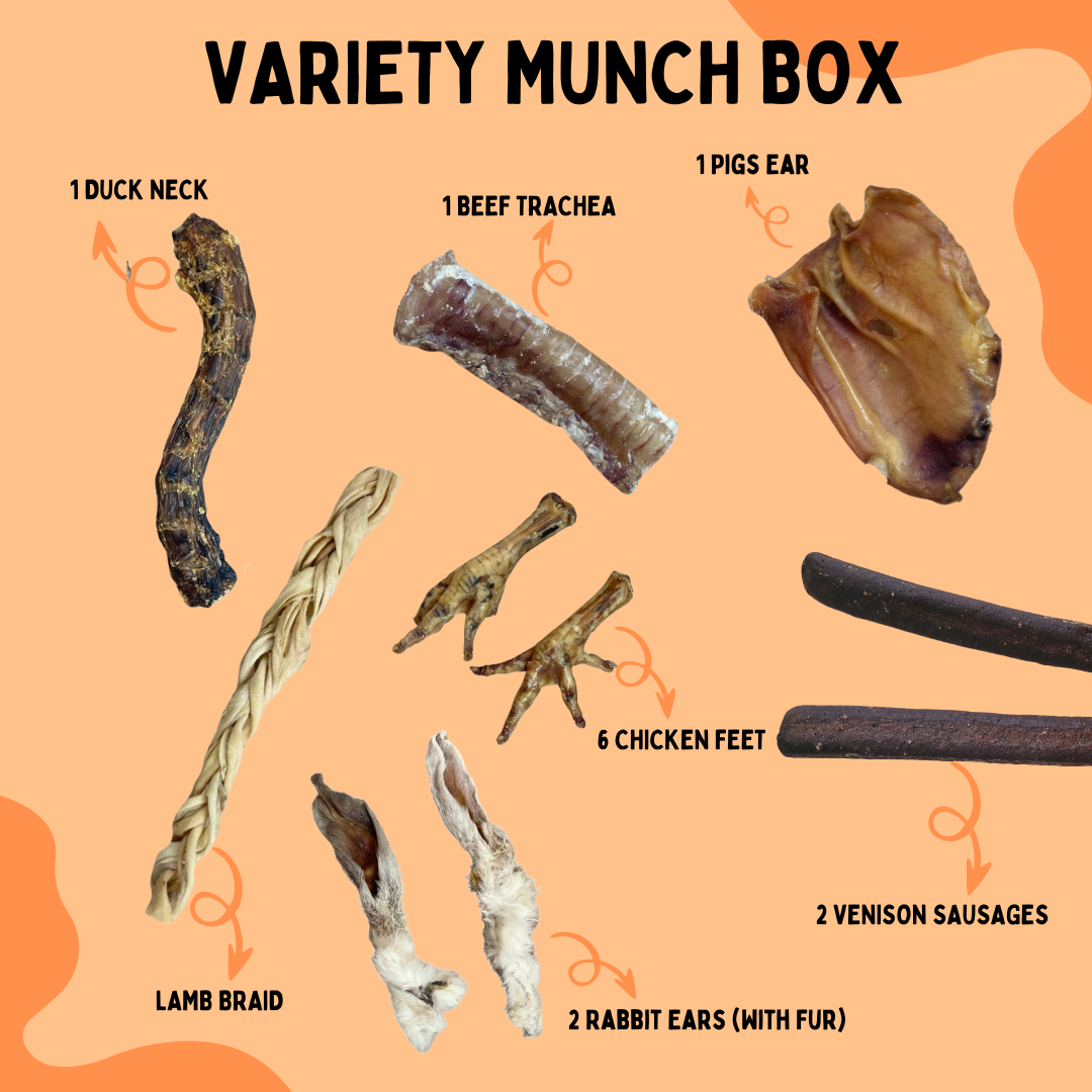 Variety Munch Box