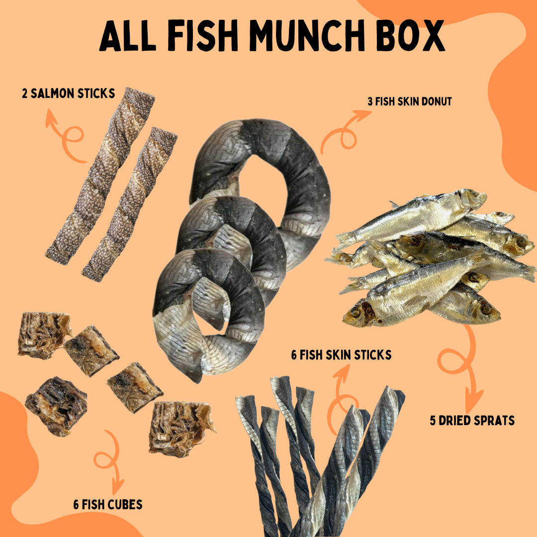 All Fish Munch Box