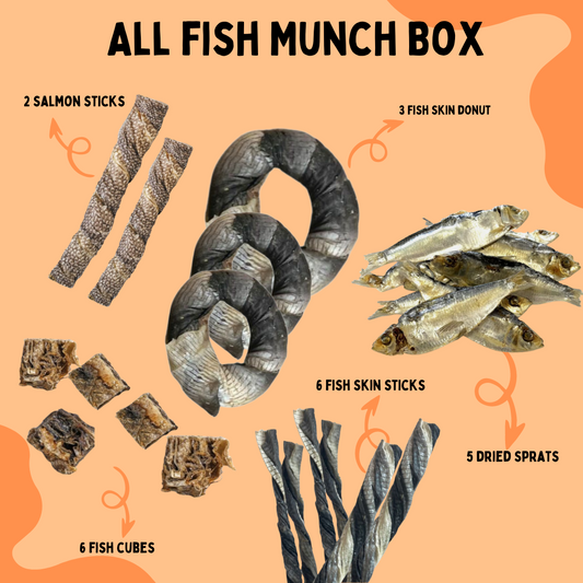 All Fish Munch Box