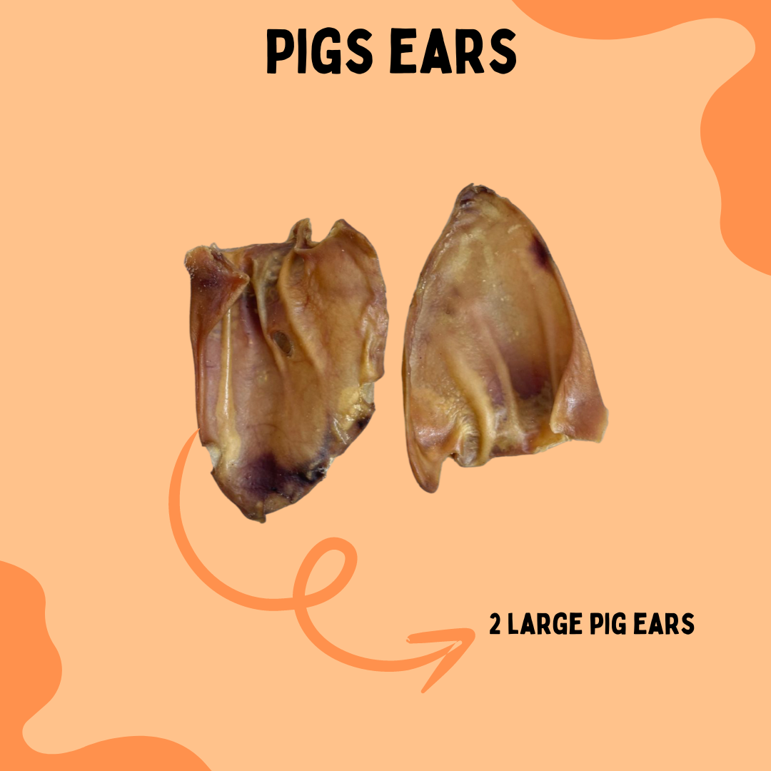 Large Pigs Ears