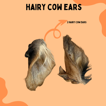 2 Hairy Cow Ears