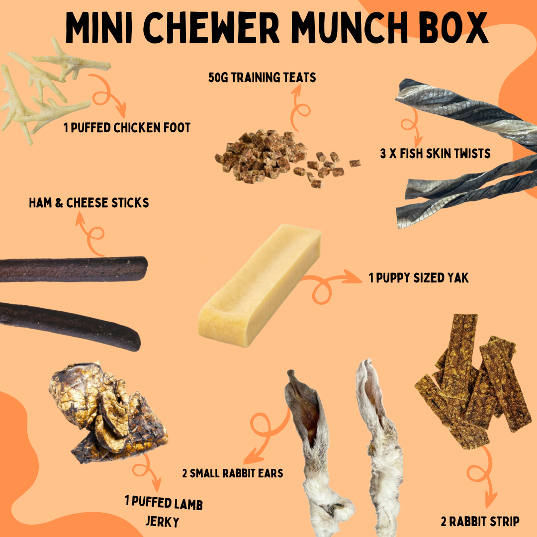 Mini Chewer Munch Box