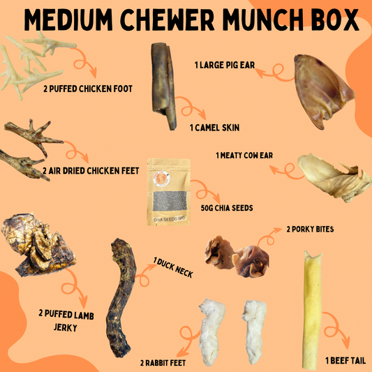 Medium Chewer Munch Box