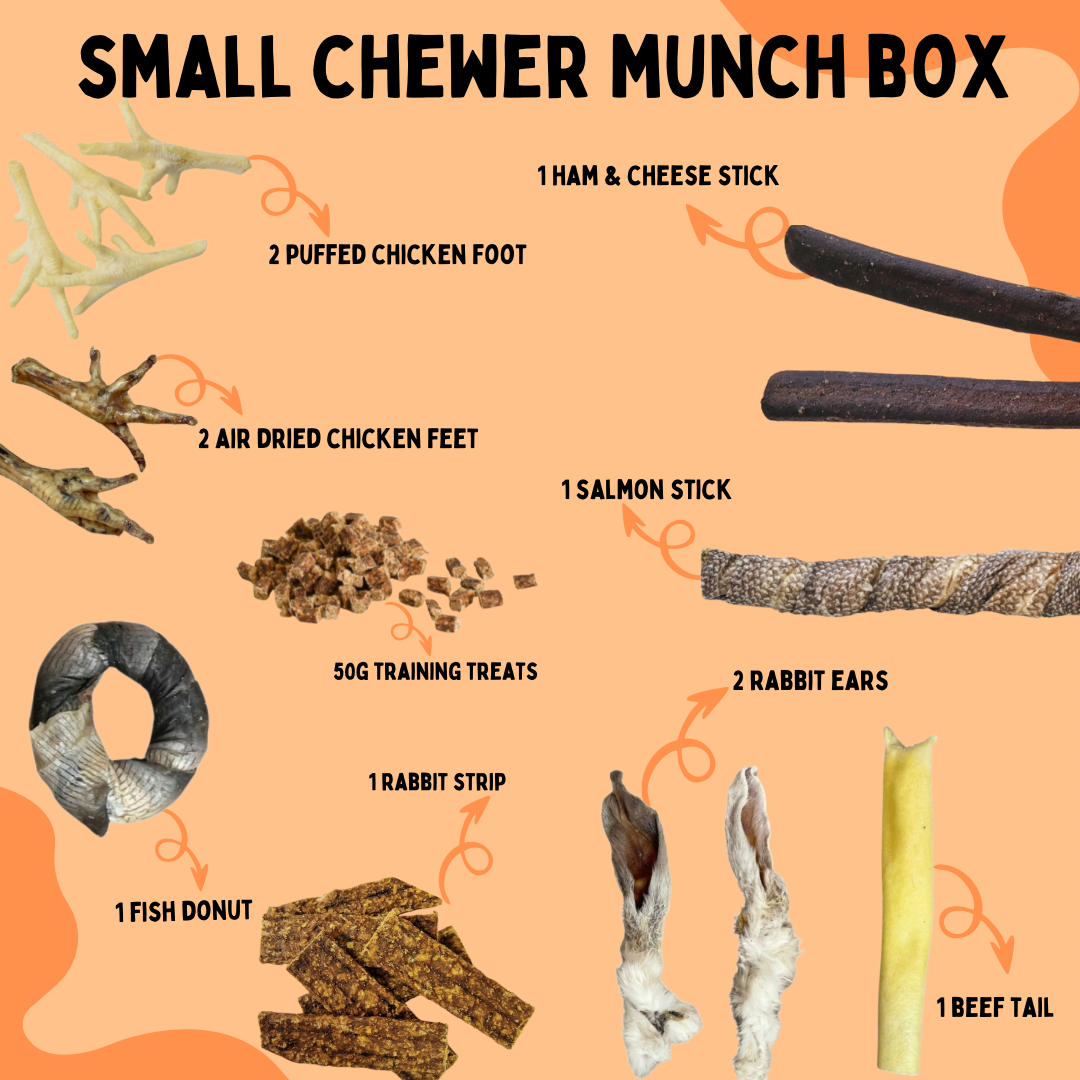 Small chewer Munch Box