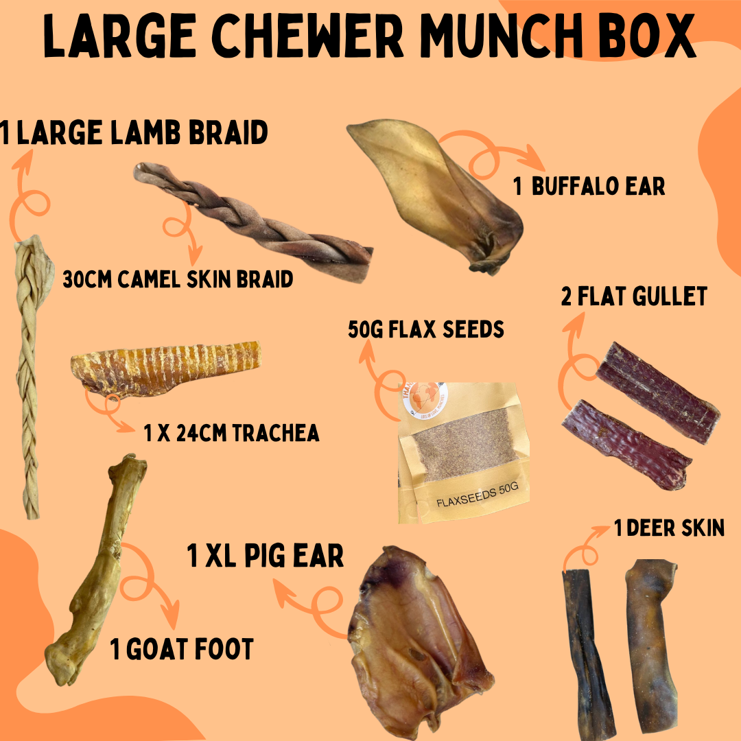 Large Chewer Munch Box